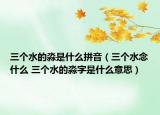 三个水的淼是什么拼音（三个水念什么 三个水的淼字是什么意思）