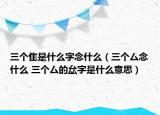 三个隹是什么字念什么（三个厶念什么 三个厶的厽字是什么意思）