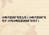 小鸭子游泳扩句怎么写（小鸭子游泳扩写句子 15句小鸭在游泳的扩写句子）