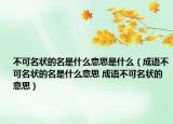 不可名状的名是什么意思是什么（成语不可名状的名是什么意思 成语不可名状的意思）