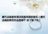 唐代法曲是有清淡优雅风格的音乐（唐代法曲的典范作品是哪个 你了解了吗）
