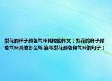 梨花的样子颜色气味其他的作文（梨花的样子颜色气味其他怎么写 描写梨花颜色和气味的句子）