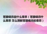 苍狼啸月是什么意思（苍狼啸月什么意思 怎么理解苍狼啸月的意思）