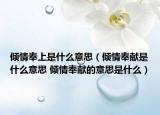 倾情奉上是什么意思（倾情奉献是什么意思 倾情奉献的意思是什么）