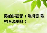 陈的拼音是（陈拼音 陈拼音及解释）