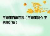 王崇墨百度百科（王崇墨简介 王崇墨介绍）