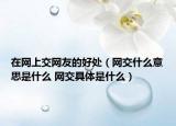 在网上交网友的好处（网交什么意思是什么 网交具体是什么）