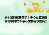 手心里的宝的意思（手心里的宝是哪首歌的歌词 手心里的宝歌曲简介）
