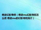 奇迹幻影导师（奇迹mu幻影寺院怎么进 奇迹mu的幻影寺院简介）