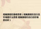 相离莫相忘是啥意思（相离莫相忘且行且珍惜是什么意思 相离莫相忘且行且珍惜的出处）