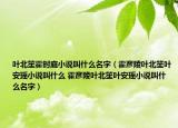 叶北笙霍时庭小说叫什么名字（霍彦陵叶北笙叶安瑶小说叫什么 霍彦陵叶北笙叶安瑶小说叫什么名字）