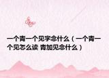 一个青一个见字念什么（一个青一个见怎么读 青加见念什么）