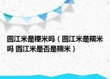 圆江米是粳米吗（圆江米是糯米吗 圆江米是否是糯米）