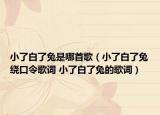 小了白了兔是哪首歌（小了白了兔绕口令歌词 小了白了兔的歌词）