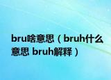 bru啥意思（bruh什么意思 bruh解释）
