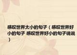 感叹世界太小的句子（感叹世界好小的句子 感叹世界好小的句子说说）