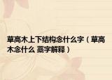 草高木上下结构念什么字（草高木念什么 藁字解释）