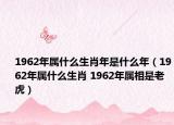 1962年属什么生肖年是什么年（1962年属什么生肖 1962年属相是老虎）