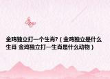 金鸡独立打一个生肖?（金鸡独立是什么生肖 金鸡独立打一生肖是什么动物）