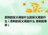 柔和的反义词是什么的反义词是什么（柔和的反义词是什么 柔和的意思）