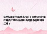杨贵妃能吃到新鲜荔枝吗（杨贵妃当时能吃到西红柿吗 杨贵妃当时能不能吃到西红柿）