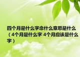 四个月是什么字念什么意思是什么（4个月是什么字 4个月应该是什么字）