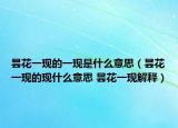 昙花一现的一现是什么意思（昙花一现的现什么意思 昙花一现解释）