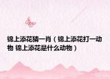 锦上添花猜一肖（锦上添花打一动物 锦上添花是什么动物）