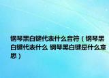 钢琴黑白键代表什么音符（钢琴黑白键代表什么 钢琴黑白键是什么意思）