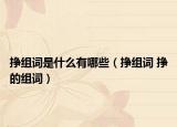 挣组词是什么有哪些（挣组词 挣的组词）