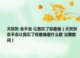 天灰灰 会不会 让我忘了你是谁（天灰灰会不会让我忘了你是谁是什么歌 完整歌词）