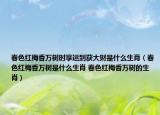 春色红梅香万树时享运到获大财是什么生肖（春色红梅香万树是什么生肖 春色红梅香万树的生肖）