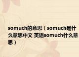 somuch的意思（somuch是什么意思中文 英语somuch什么意思）