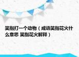 笑指打一个动物（成语笑指花火什么意思 笑指花火解释）