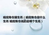暗度陈仓猜生肖（暗度陈仓是什么生肖 暗度陈仓说的是哪个生肖）