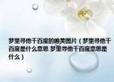 梦里寻他千百度的唯美图片（梦里寻他千百度是什么意思 梦里寻他千百度意思是什么）