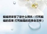 蝙蝠进家里了是什么预兆（打死蝙蝠的后果 打死蝙蝠的后果会怎样）