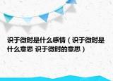 识于微时是什么感情（识于微时是什么意思 识于微时的意思）