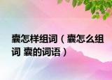 囊怎样组词（囊怎么组词 囊的词语）