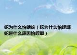 蛇为什么怕蛞蝓（蛇为什么怕螳螂 蛇是什么原因怕螳螂）
