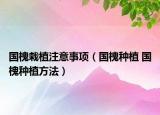 国槐栽植注意事项（国槐种植 国槐种植方法）