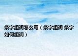 条字组词怎么写（条字组词 条字如何组词）