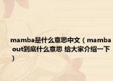 mamba是什么意思中文（mamba out到底什么意思 给大家介绍一下）