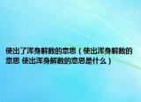 使出了浑身解数的意思（使出浑身解数的意思 使出浑身解数的意思是什么）