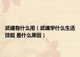 武魂有什么用（武魂学什么生活技能 是什么原因）