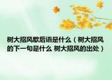 树大招风歇后语是什么（树大招风的下一句是什么 树大招风的出处）