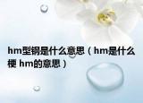 hm型钢是什么意思（hm是什么梗 hm的意思）