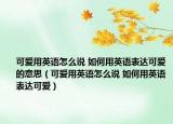 可爱用英语怎么说 如何用英语表达可爱的意思（可爱用英语怎么说 如何用英语表达可爱）