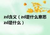 zd含义（zd是什么意思 zd是什么）