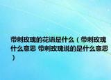 带刺玫瑰的花语是什么（带刺玫瑰什么意思 带刺玫瑰说的是什么意思）
